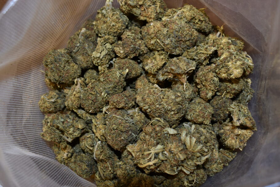 Sour Alien Marijuana Strain