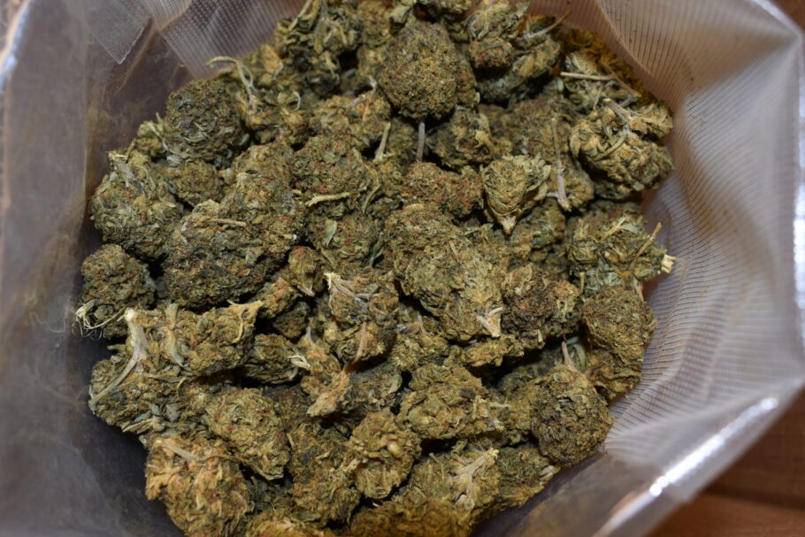 Sour Alien Weed Strain