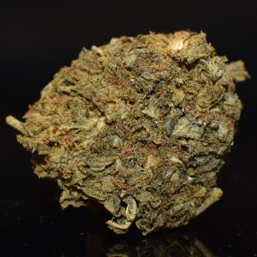 Sour Alien Bud