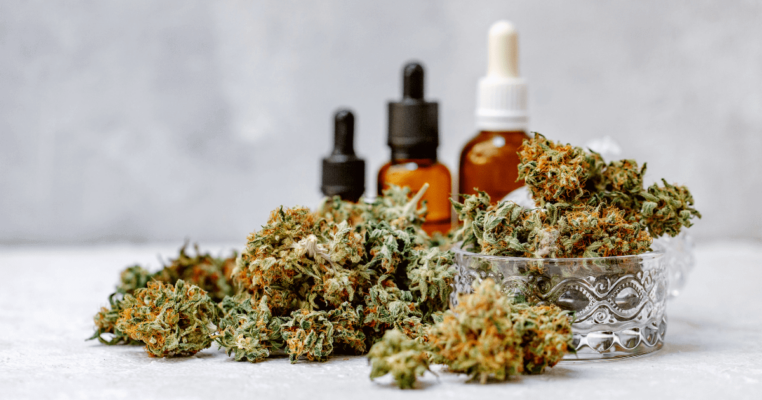 Learn How To Make Cannabis Oil