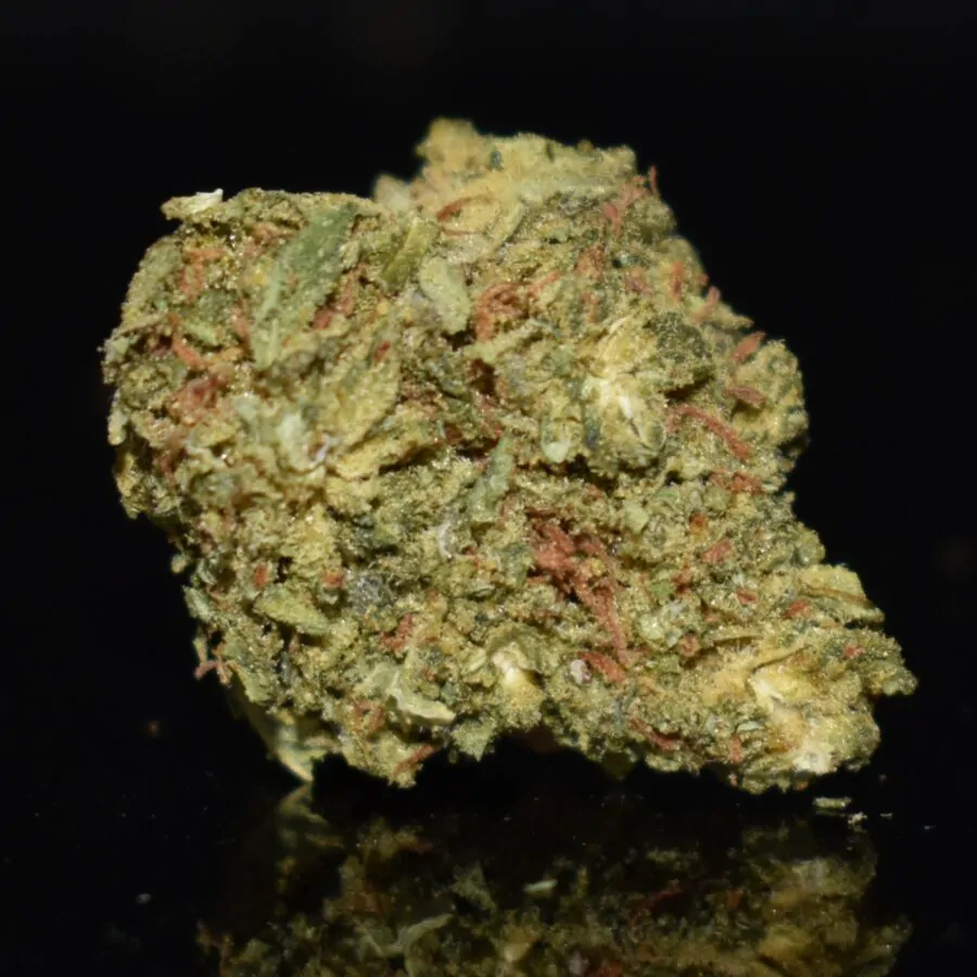 Jean Guy strain, Jean Guy weed strain, Jean Guy marijuana strain, Jean Guy Buds