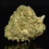 Jean Guy strain, Jean Guy weed strain, Jean Guy marijuana strain, Jean Guy Buds