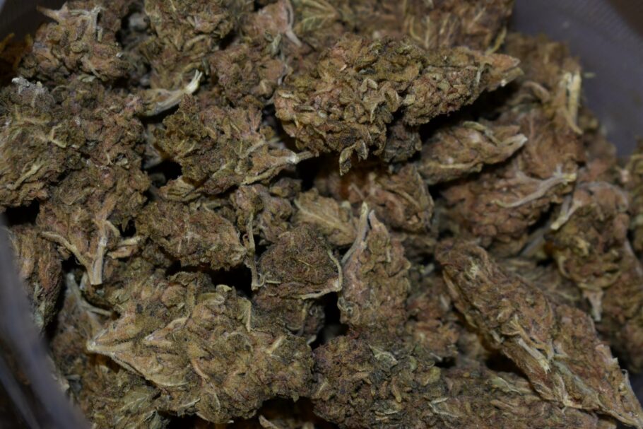 Weed Strain - Gorilla Glue Cookies (AA)