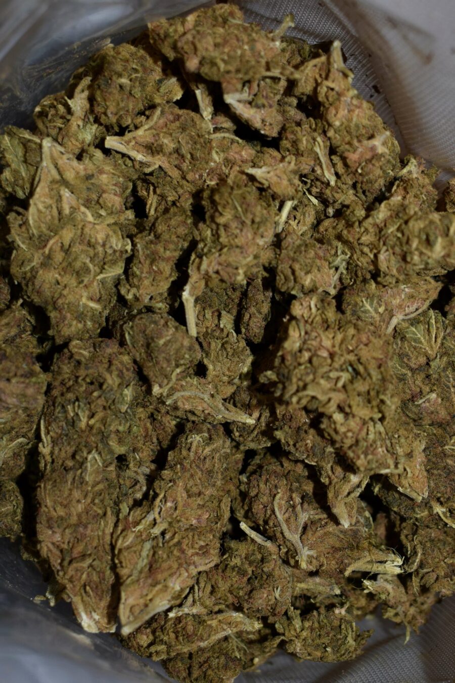Weed Strain - Gorilla Glue Cookies (AA)