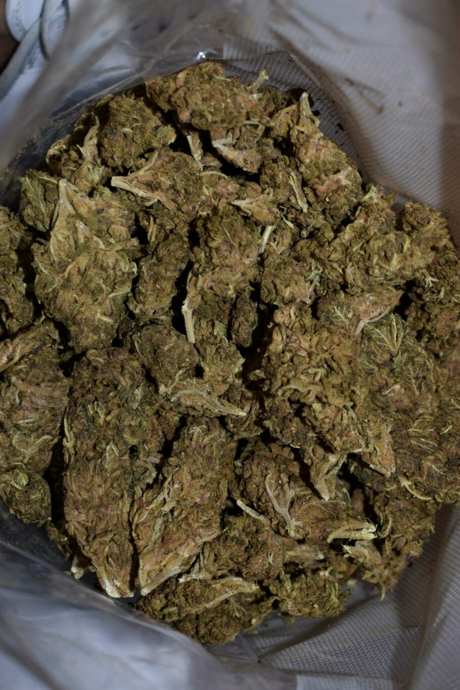 Weed Strain - Gorilla Glue Cookies (AA)