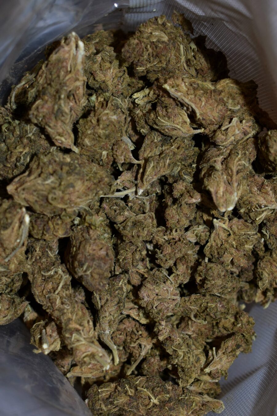 Weed Strain - Gorilla Glue Cookies (AA)