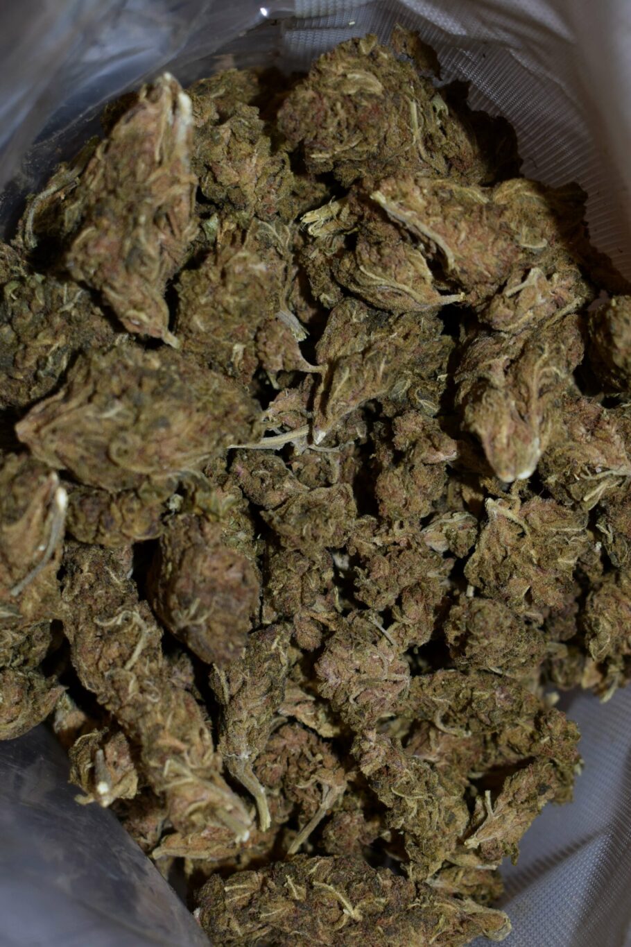 Weed Strain - Gorilla Glue Cookies (AA)
