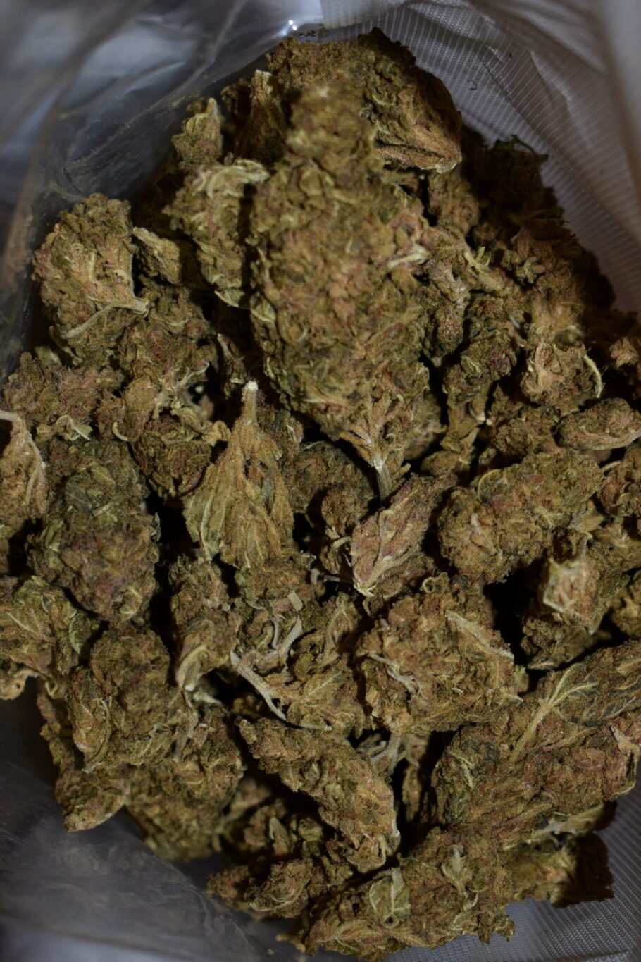 Weed Strain - Gorilla Glue Cookies (AA)