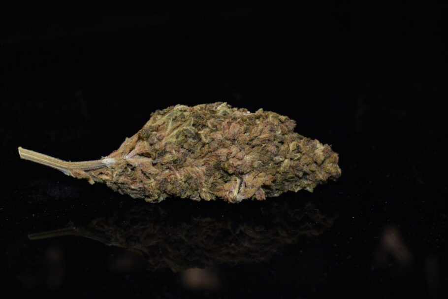 Weed Strain - Gorilla Glue Cookies (AA)