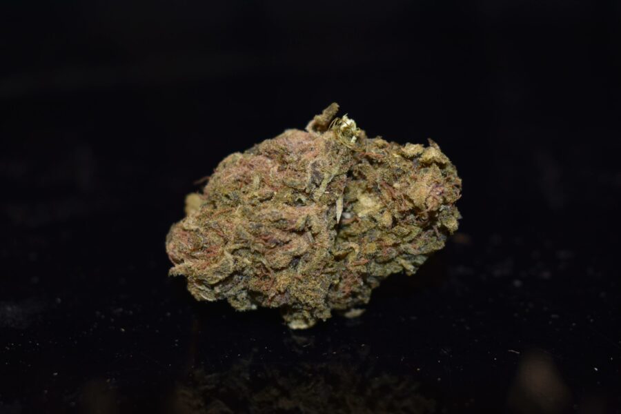 Weed Strain - Gorilla Glue Cookies (AA)