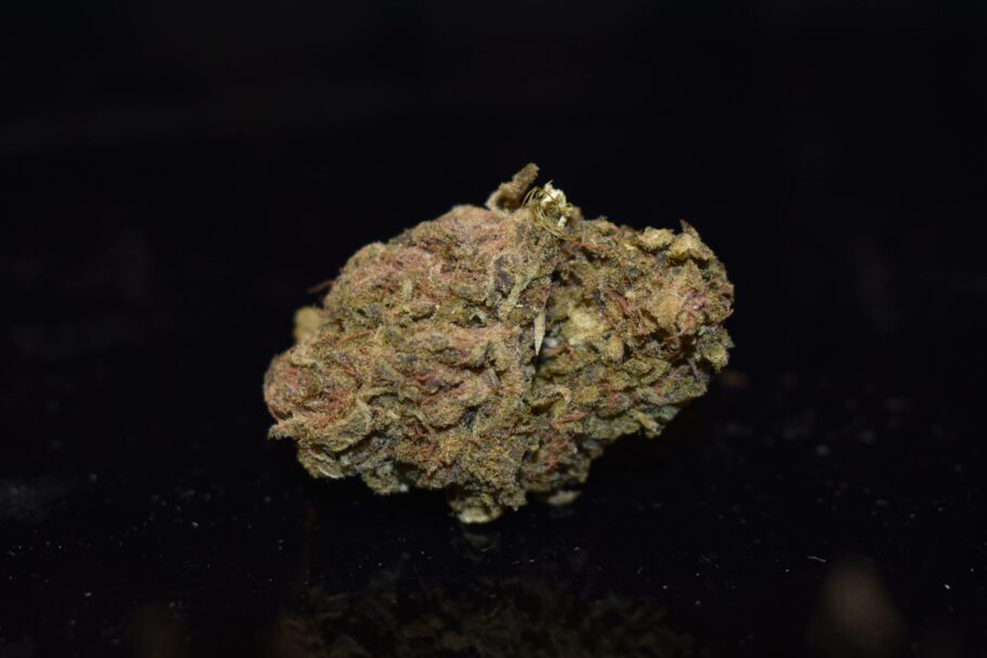Weed Strain - Gorilla Glue Cookies (AA)