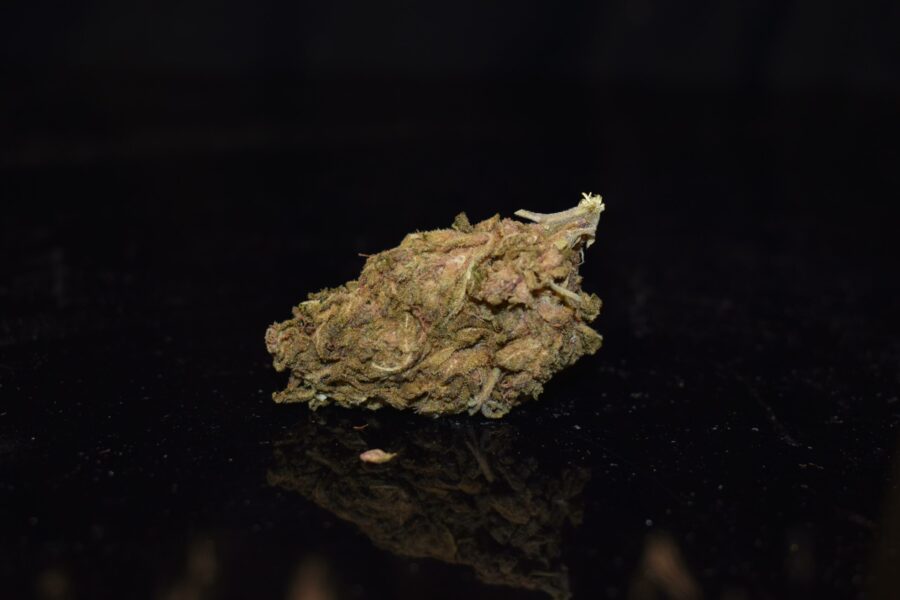 Weed Strain - Gorilla Glue Cookies (AA)