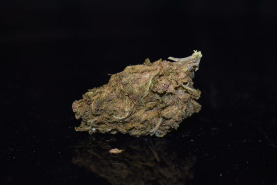 Weed Strain - Gorilla Glue Cookies (AA)