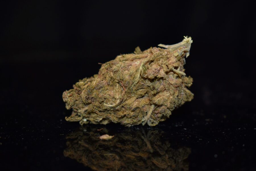 Weed Strain - Gorilla Glue Cookies (AA)