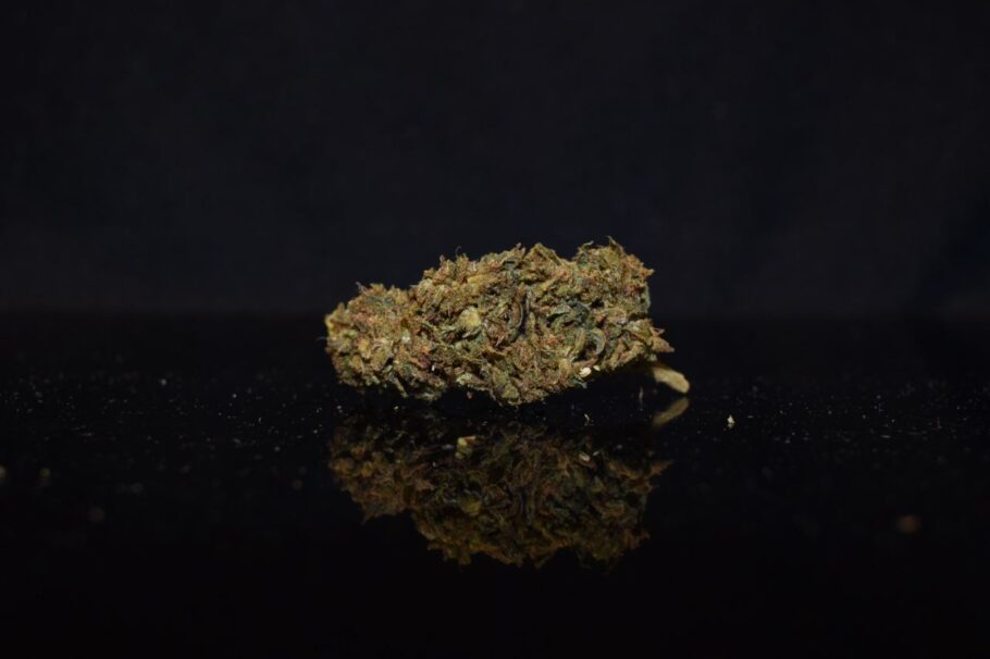 London Diesel Cannabis Strain