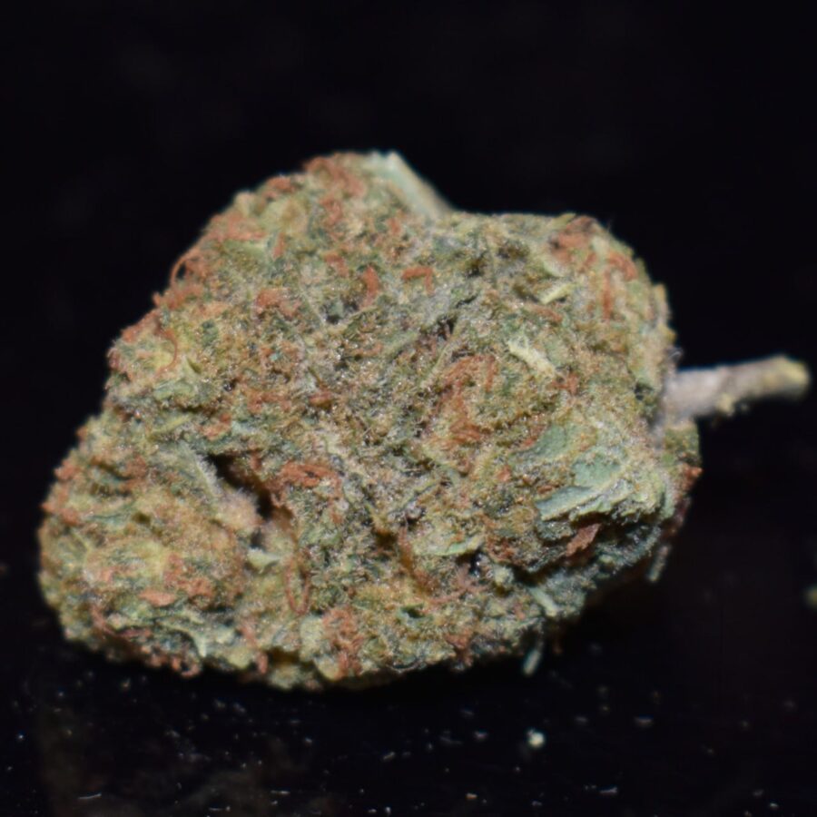 Sour Kush (AAA)