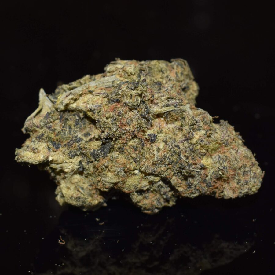 Black Gas Strain