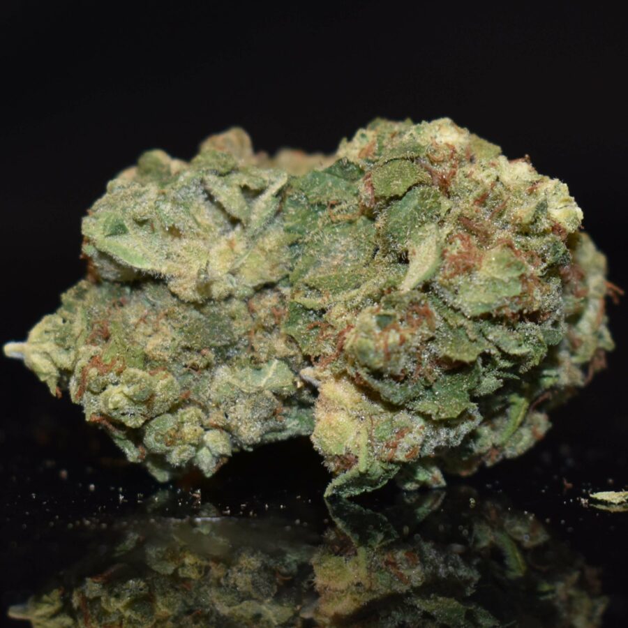 Cactus Breath Weed Strain