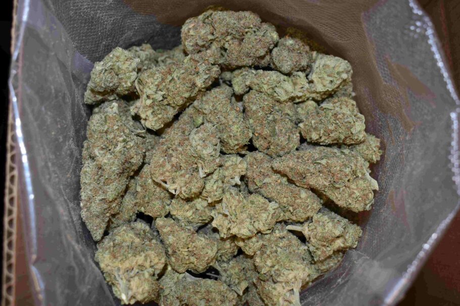 Sweet Kush Strain