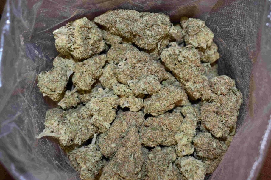 Sweet Kush Weed Strain