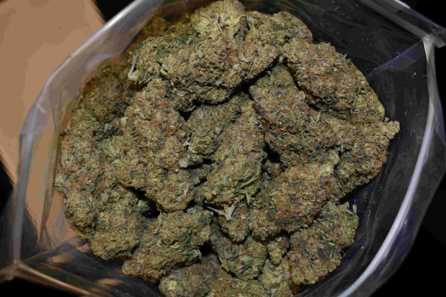 Dark Phoenix Buds