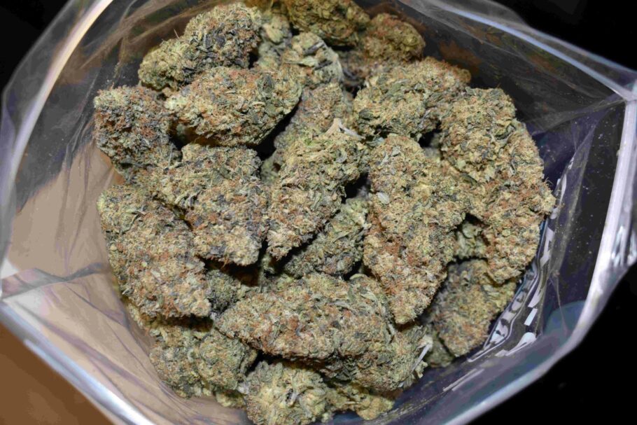 Dark Phoenix Marijuana Strain