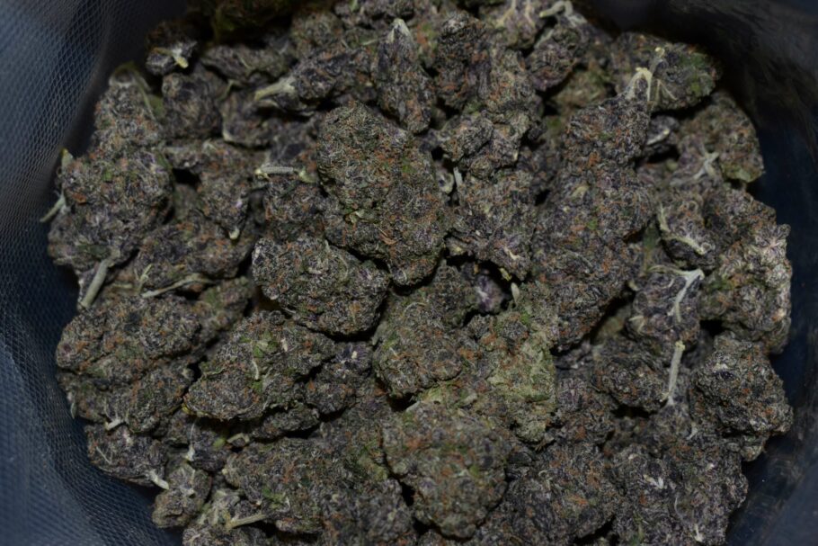 Grape God Strain