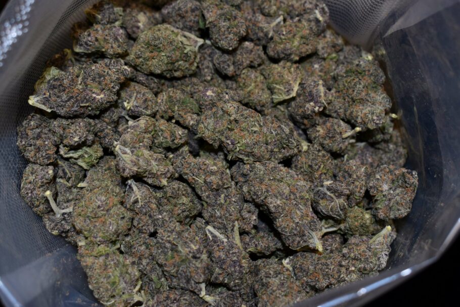 Grape God Cannabis Strain