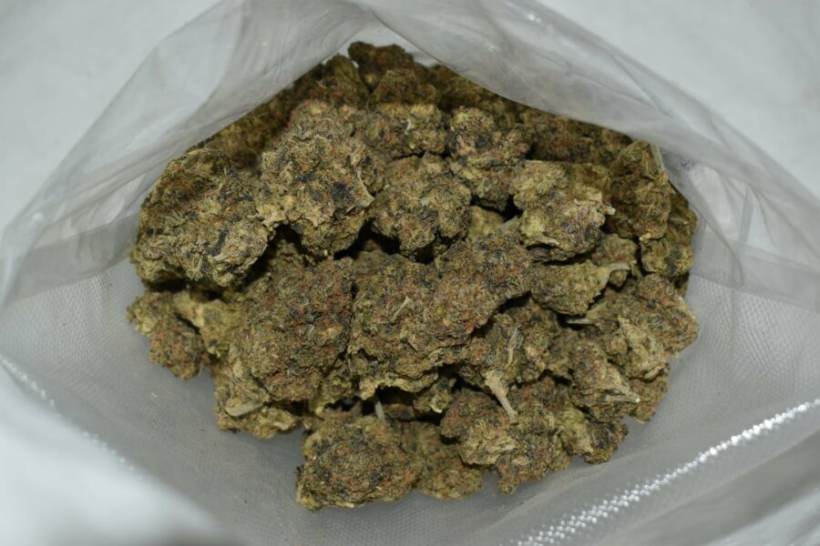 Black Gas Buds
