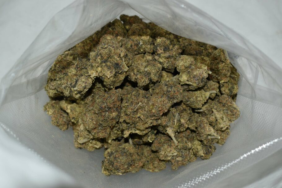 Black Gas Buds