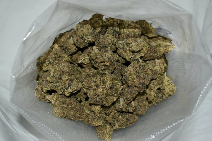 Black Gas Marijuana Strain