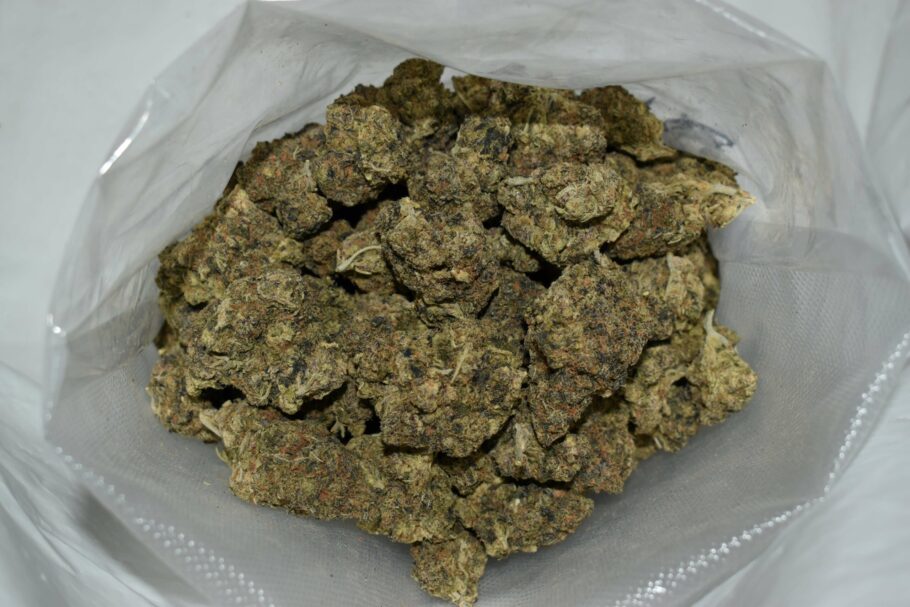 Black Gas Marijuana Strain