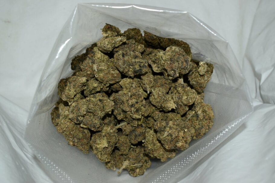 Black Gas Cannabis Strain