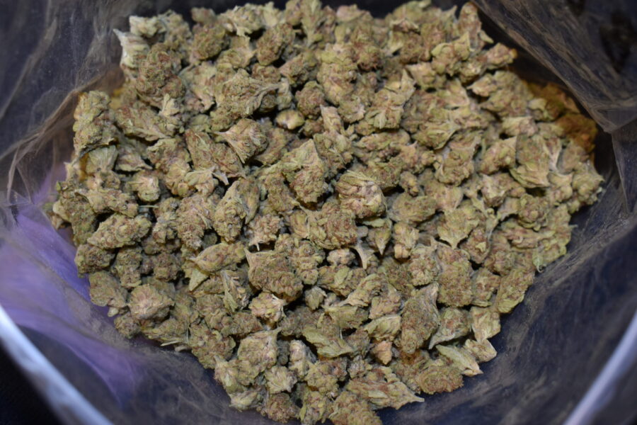 Blueberry strain, Blueberry weed strain, Blueberry marijuana strain, Blueberry Buds