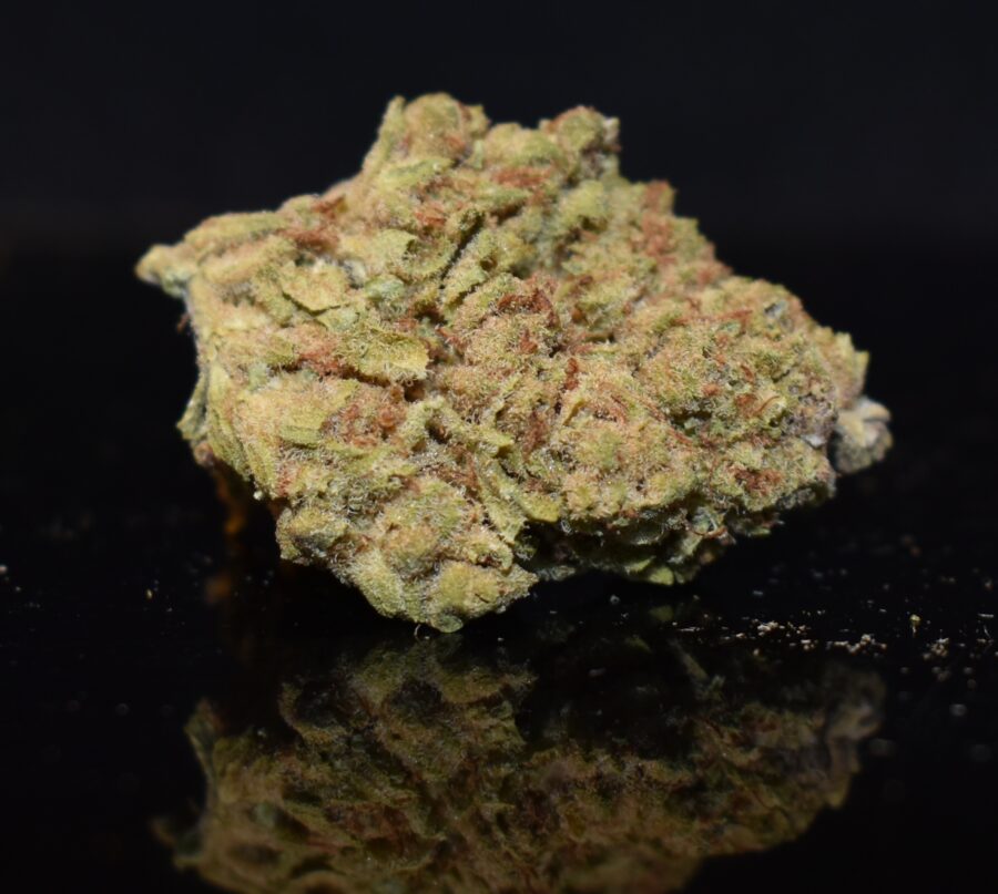 Blueberry strain, Blueberry weed strain, Blueberry marijuana strain, Blueberry Buds