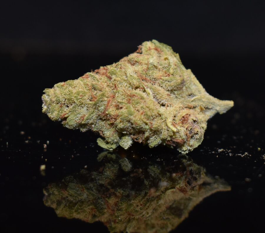 Blueberry strain, Blueberry weed strain, Blueberry marijuana strain, Blueberry Buds