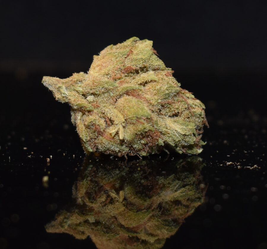 Blueberry strain, Blueberry weed strain, Blueberry marijuana strain, Blueberry Buds