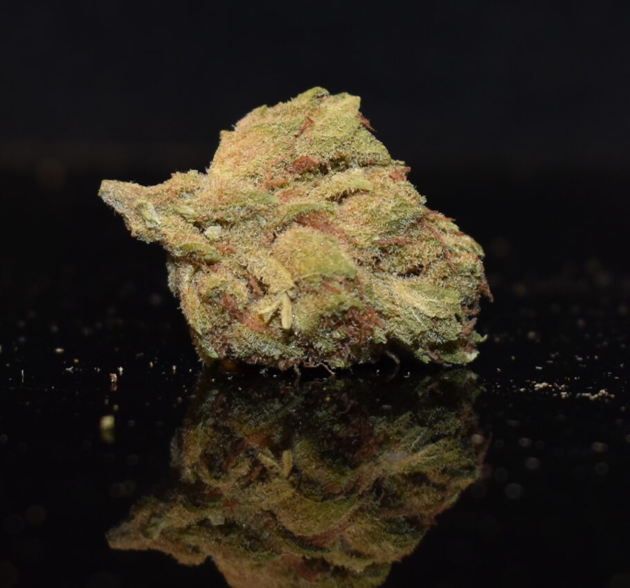 Blueberry strain, Blueberry weed strain, Blueberry marijuana strain, Blueberry Buds