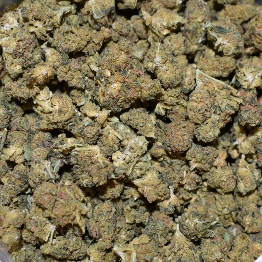 Headband strain, Headband weed strain, Headband marijuana strain, Headband Buds