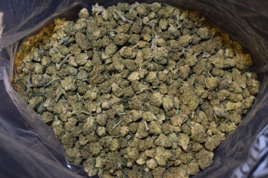 Pink Kush strain, Pink Kush weed strain, Pink Kush marijuana strain, Pink Kush Buds