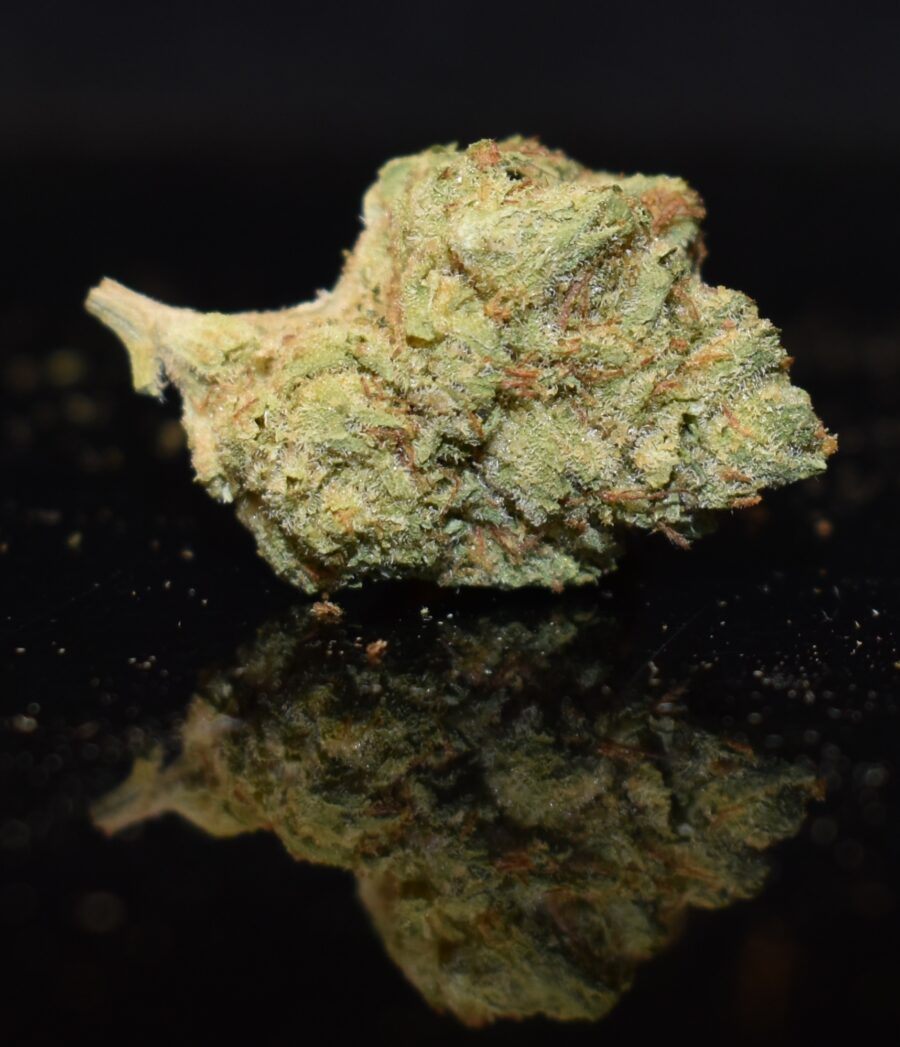 Pink Kush strain, Pink Kush weed strain, Pink Kush marijuana strain, Pink Kush Buds