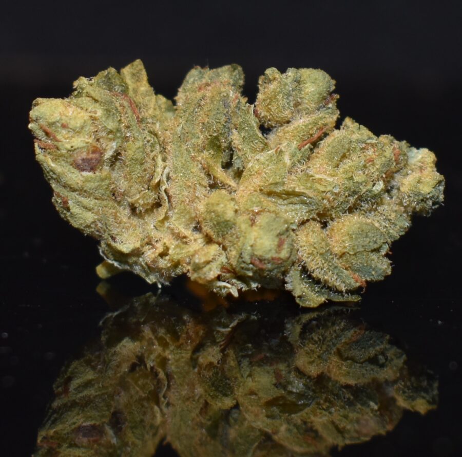 Powdered Donuts strain, Powdered Donuts weed strain, Powdered Donuts marijuana strain, Powdered Donuts Buds