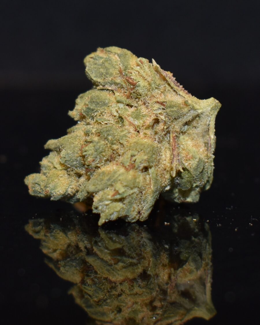 Powdered Donuts strain, Powdered Donuts weed strain, Powdered Donuts marijuana strain, Powdered Donuts Buds