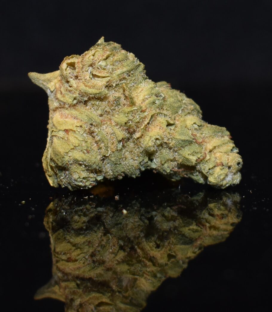 Powdered Donuts strain, Powdered Donuts weed strain, Powdered Donuts marijuana strain, Powdered Donuts Buds