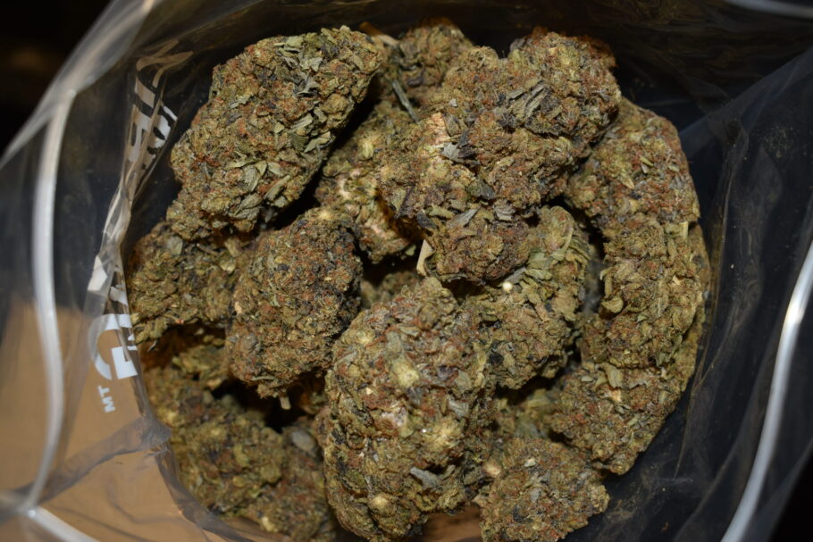 Purple Diamond strain, Purple Diamond weed strain, Purple Diamond marijuana strain, Purple Diamond Buds