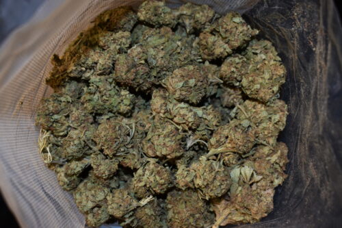 Recon strain, Recon weed strain, Recon marijuana strain, Recon Buds