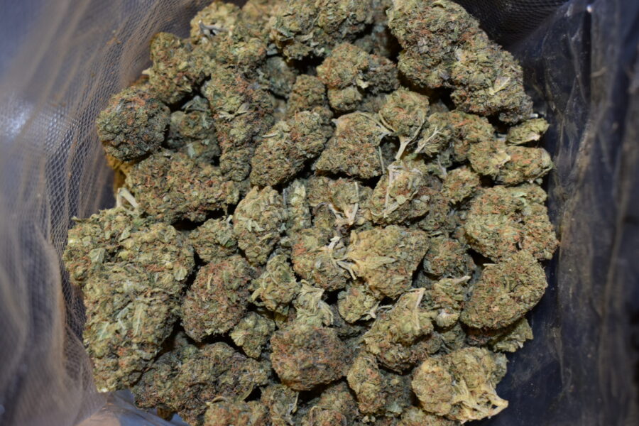 Alaskan Thunder Fuck strain, Alaskan Thunder Fuck weed strain, Alaskan Thunder Fuck marijuana strain, Alaskan Thunder Fuck Buds