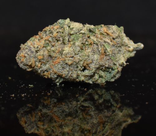 Purple Runtz strain, Purple Runtz weed strain, Purple Runtz marijuana strain, Purple Runtz Buds