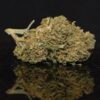 Amnesia strain, Amnesia weed strain, Amnesia marijuana strain, Amnesia Buds