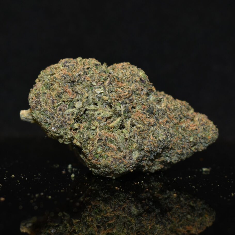 Gary Payton strain, Gary Payton weed strain, Gary Payton marijuana strain, Gary Payton Buds
